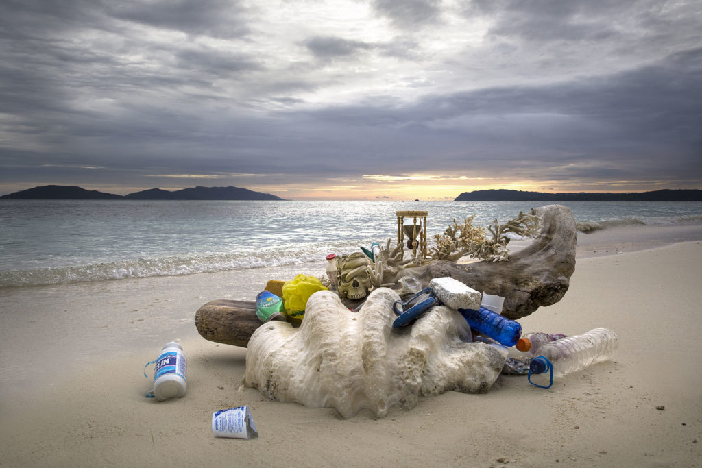 timeshrine, water, environment, trash